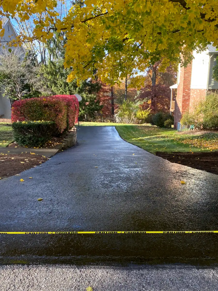 Freshly sealcoated driveway under a yellow maple, taped off while the coat cures